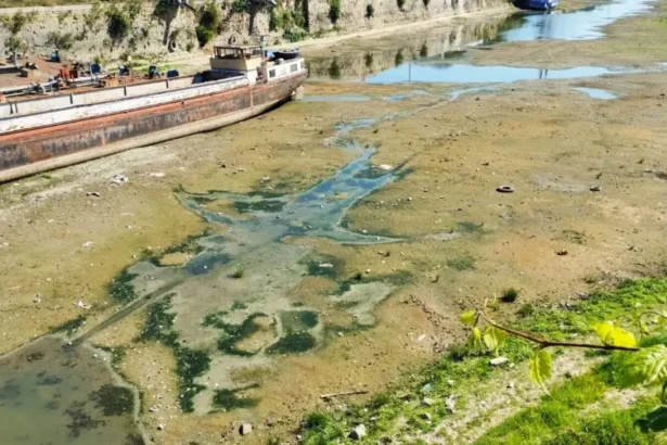 nivelul extrem de scazut al dunarii afecteaza transportul naval nave incarcate pe jumatate si blocaje in porturi ce spun specialistii 6a6d9e995f022