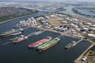 oil terminal a raporta un profit net de 122 milioane lei in primul semestru din 2026 6a7dc13661ab3