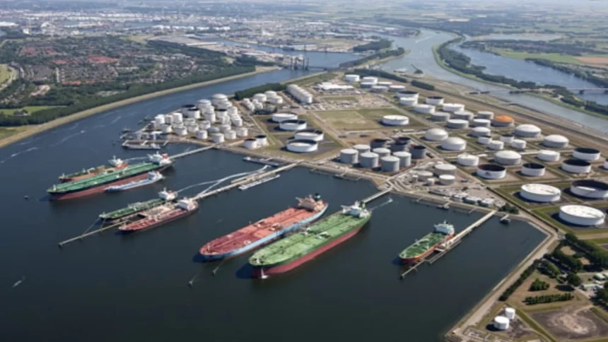 oil terminal a raporta un profit net de 122 milioane lei in primul semestru din 2026 6a7dc13661ab3