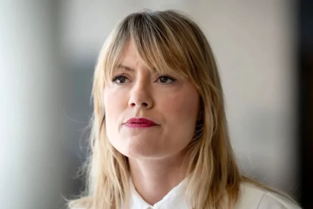 partidul de stanga die linke solicita germaniei sa preia urgent migrantii din exclava spaniola ceuta 6a6f8117156ab