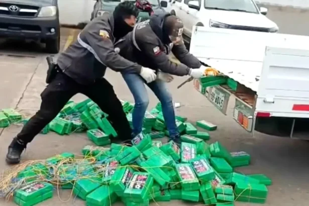 politistii nu se asteptau sa l gaseasca pe erling haaland aici chipul fotbalistului pe un transport urias de cocaina drogurile valorau 17 milioane de euro in europa 6a7db48f0e672