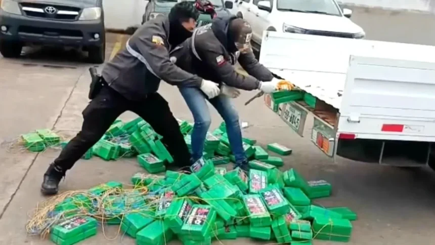 politistii nu se asteptau sa l gaseasca pe erling haaland aici chipul fotbalistului pe un transport urias de cocaina drogurile valorau 17 milioane de euro in europa 6a7db48f0e672