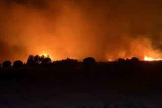 pompierii bihoreni s au luptat cu flacarile care au mistuit zeci de hectare de vegetatie si padure 6a8ea93d9a7bd