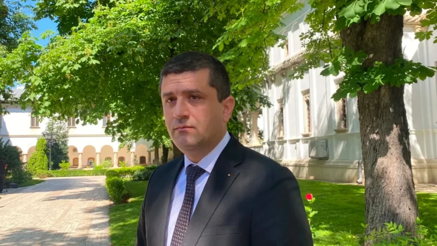 radu miruta situatia de pe dunare nu a aparut din senin critici la adresa psd 6a6f98644f21d