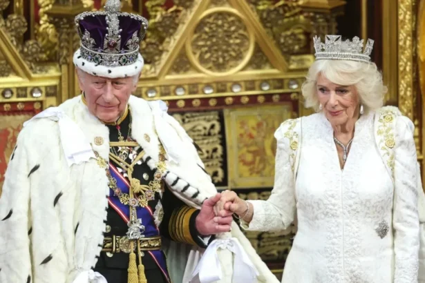 regele charles mesaj de ziua independentei ucrainei au dat dovada de o tarie extraordinara 6a8c18a0eae3d