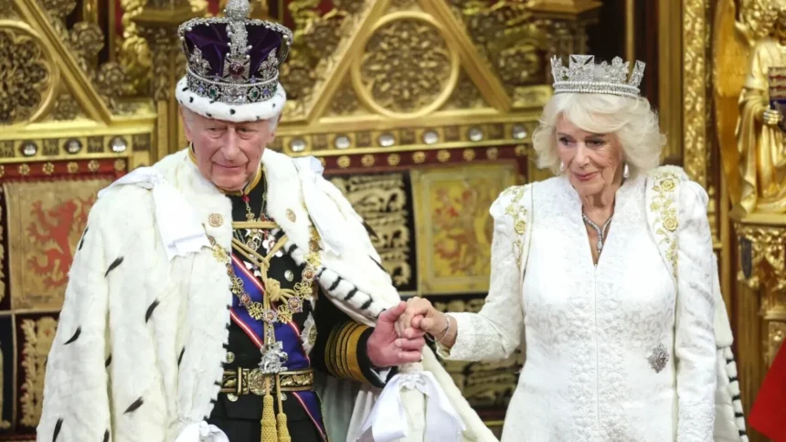 regele charles mesaj de ziua independentei ucrainei au dat dovada de o tarie extraordinara 6a8c18a0eae3d