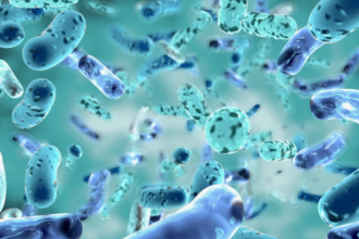 revine bacteria mancatoare de carne s a gasit in apele de coasta cinci oameni au murit 6a7b79dd63e59
