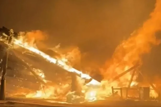 roman mort in incendiile din italia tanarul era fermier si avea doar 19 ani 6a71d6be7696d