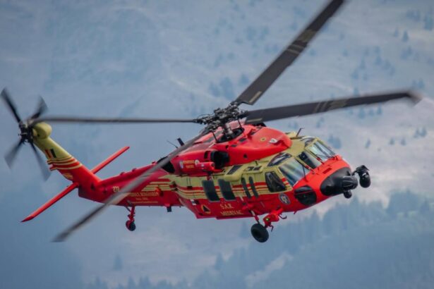 romania sare in ajutorul serbiei un black hawk se indreapta spre tara vecina iar o forta terestra de interventie se pregateste si ea fumul generat de incendii a cuprins si timisoara 6a89beef4389a