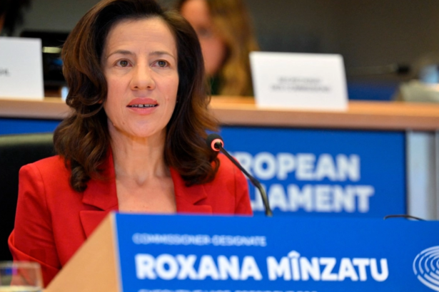 roxana minzatu propune o zi europeana pentru victimele accidentelor de munca 6a75fea5be130