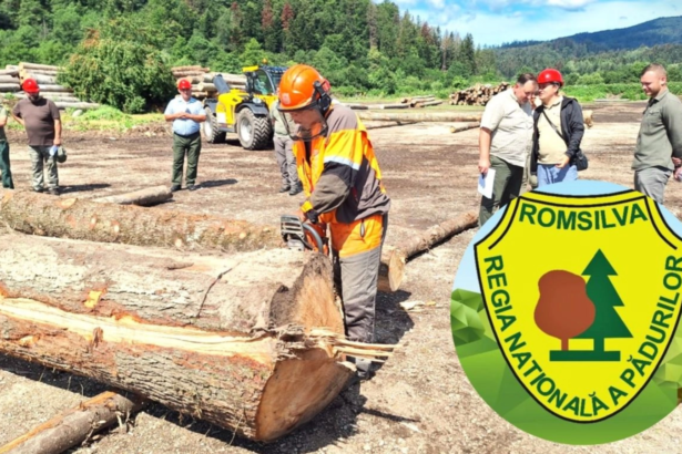 scandalul primelor romsilva taie acuzatiile dianei buzoianu regia demonteaza punct cu punct afirmatiile ministrei 6a85bf997407d