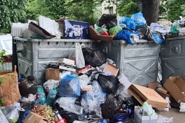 se schimba regulile gunoiului in bucuresti resturile alimentare vor fi colectate separat iar tarifele calculate dupa cat arunci 6a71f206b05a4
