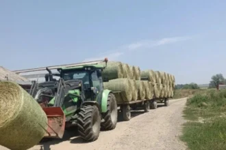 seceta aprinde piata furajelor fermierii elvetieni au ajuns sa cumpere masiv fan din franta 6a88b32aa082b