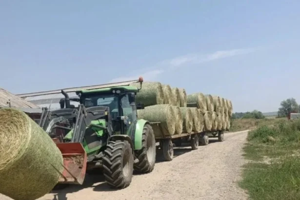seceta aprinde piata furajelor fermierii elvetieni au ajuns sa cumpere masiv fan din franta 6a88b32aa082b