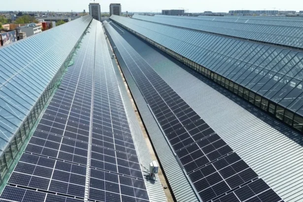soarele intra in agricultura cu forta proiecte de peste 400 de milioane de euro pentru energie solara 6a83d6e514b8d