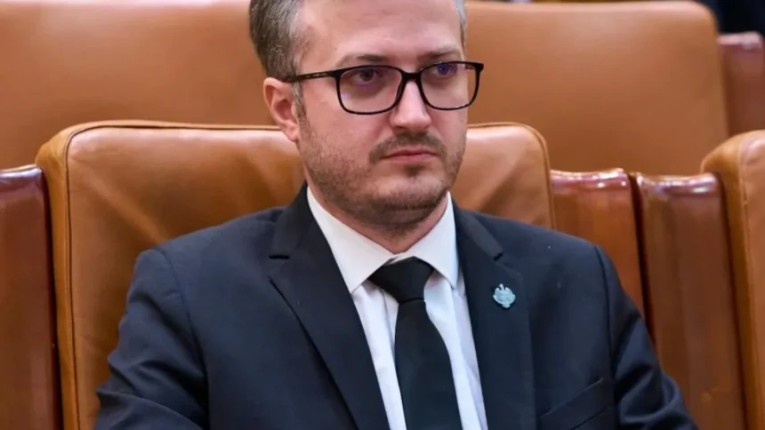 stefanita avramescu aur spune ca decizia ccr privind declaratiile de avere reprezinta o dubla masura 6a846a153a7b0