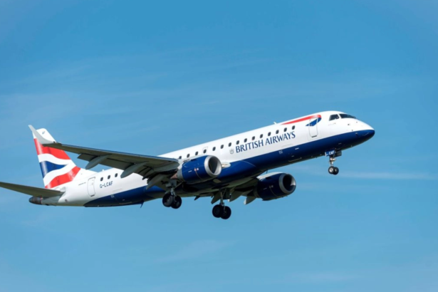 topul companiilor aeriene care scot cei mai multi bani pe fiecare kilometru wizz air la polul opus in europa 6a7b091dc3db4