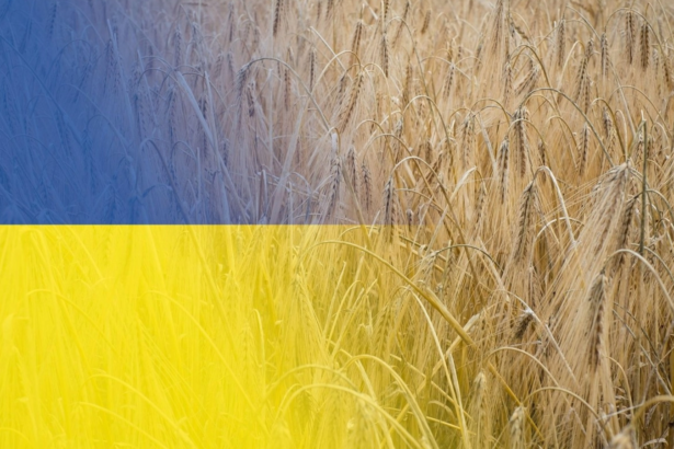 ucraina cere 220 de milioane de euro de la ue banii ar urma sa ajunga la agricultori 6a7deeea2a0da