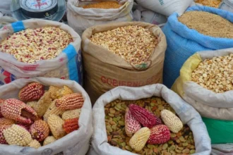 ue intoarce macazul pe piata cerealelor exporturile de grau si orz se prabusesc importurile de porumb cresc 6a85f794880ae