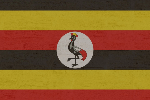 uganda aproba trimiterea de trupe in fasia gaza in cadrul acordului pentru dezarmarea hamas 6a74dfb36eccb