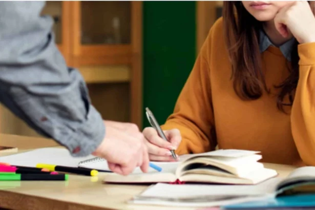 un fost ministru al educatiei vrea vouchere de la stat pentru meditatii dam pentru masini si sala sa ne ocupam de creierii copiilor 6a78c4ce5abbc