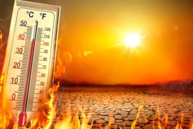 valul de caldura extrema cuprinde intreaga omenire cartofii fierb in pamant ne putem astepta la o mare penurie de alimente si posibil foamete 6a7d555dabfca