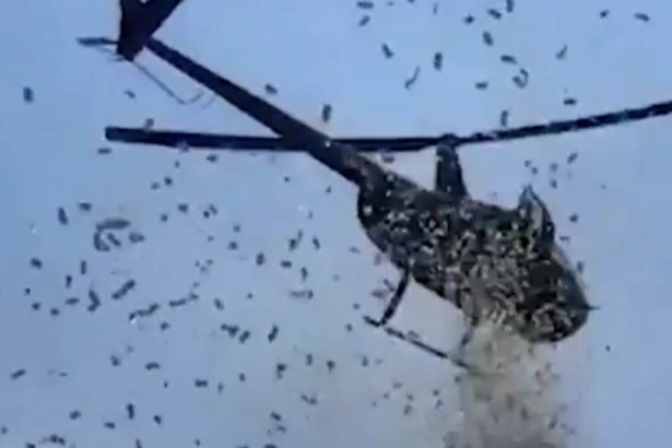 video aterizare la botul calului pentru fiica unui controversat afacerist de pe litoral elicopterul a coborat fara voie si a facut prapad 6a789b195ee34