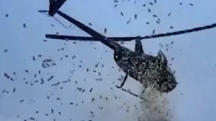 video aterizare la botul calului pentru fiica unui controversat afacerist de pe litoral elicopterul a coborat fara voie si a facut prapad 6a789b195ee34