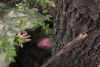 video imagini inedite de pe front soldati rusi treziti din somn si capturati de fortele ucrainene le au soptit sa nu opuna rezistenta 6a722b1ebac54