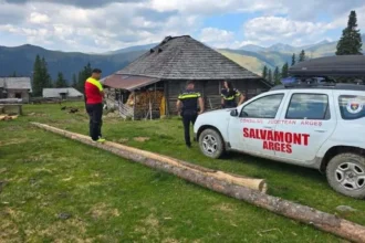 video mobilizare pentru gasirea unui cioban disparut in zona arefu intervin drone si caini de cautare 6a7ab4fd589bf