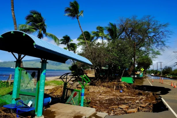 video peste 180 000 de persoane fara electricitate si 100 de locuinte avariate de uraganul lala in hawaii 6a82be82ed86a