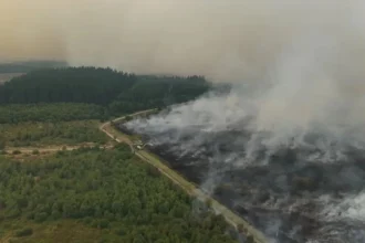 video serbia arde 45 de incendii sunt active iar un om a murit fumul a ajuns in bulgaria 6a848e8a741a8