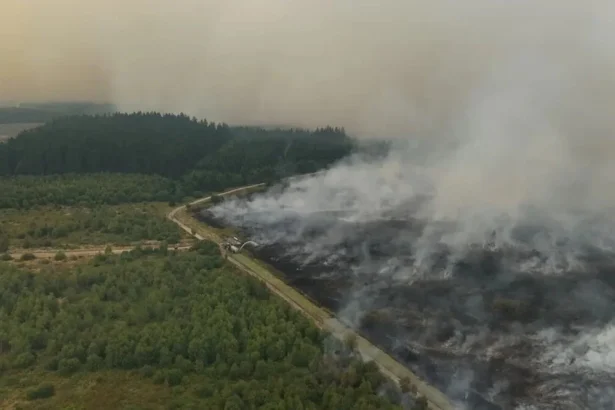 video serbia arde 45 de incendii sunt active iar un om a murit fumul a ajuns in bulgaria 6a848e8a741a8