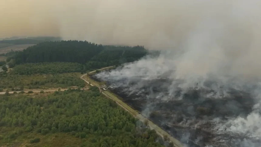 video serbia arde 45 de incendii sunt active iar un om a murit fumul a ajuns in bulgaria 6a848e8a741a8