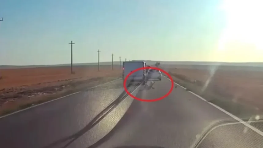 video un copil se rostogoleste din masina in mers direct pe sosea si ajunge in fata unui tir 6a7b2900628ae