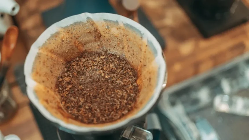 zatul de cafea ar putea alimenta masinile oamenii de stiinta au gasit o metoda de a l transforma in biodiesel 6a7c6c7045158