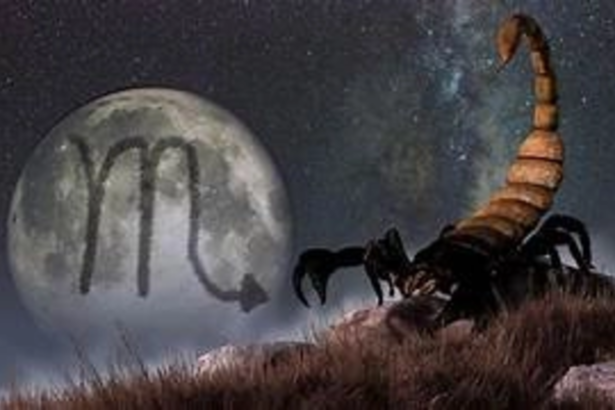 a inceput sezonul scorpionului ce se schimba pentru fiecare zodie si cine poate simti cel mai puternic aceasta perioada 6adf45c3a3bff