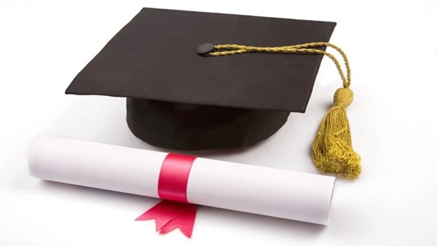 adio lucrari de licenta la cheie senatul inaspreste sanctiunile pentru afacerile cu diplome 6abe92cb604e7