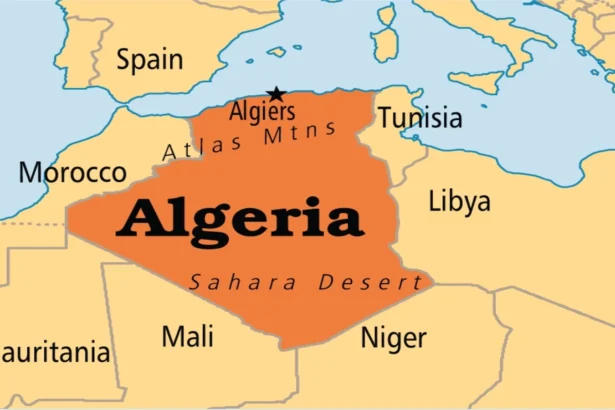 algeria trimite trupe in niger este o premiera dupa 1973 6adf61d118ba2
