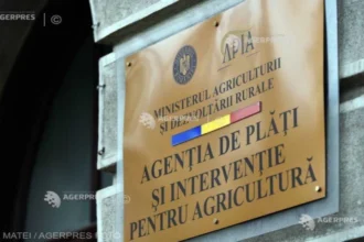 apia incepe platile catre fermieri peste 150 de milioane de lei pentru motorina folosita in agricultura banii intra in conturi 6abe33caa99f7
