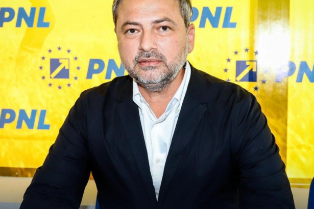 dan motreanu il ataca pe sorin grindeanu dupa desemnarea lui luca niculescu comedia revendicarii functiei de prim ministru 6ac4bfa772201