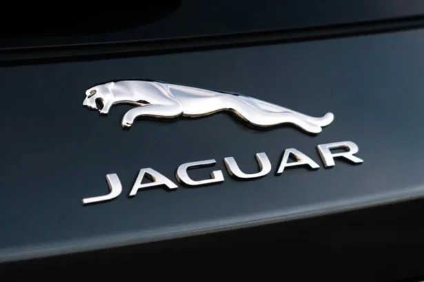 decizie controversata in industria masinilor de lux modelul fara luneta cu care jaguar vrea sa cucereasca sua 6ac71655b6a8e