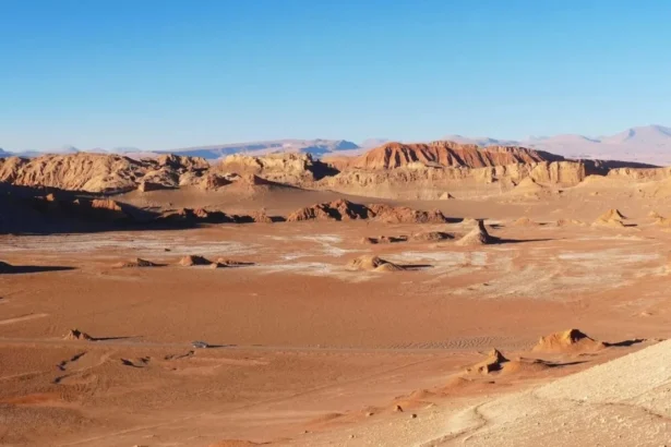 efectul incredibil al fenomenului super el nino ceea ce s a intamplat in cel mai arid desert de pe pamant este un adevarat miracol 6ac06d427ab11