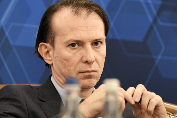 florin citu critica politica monetara a lui mugur isarescu euro ar fi putut sa fie sub 3 lei daca bnr nu intervenea 6ac28d269af68