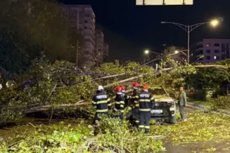 foto incident grav in bucuresti un copac a cazut peste patru masini si o motocicleta 6ac91ec3aaa6b