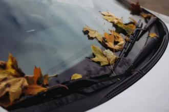frunzele uscate cazute din copac iti pot strica masina la ce trebuie sa fie atenti soferii 6acd08eba3414