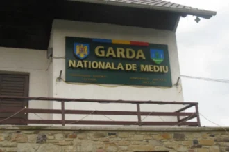 garda de mediu a amendat cu 100 000 de lei o societate comerciala pentru scurgeri pe sol de reziduuri rezultate din rafinarea uleiului 6ac8e300ba3dc
