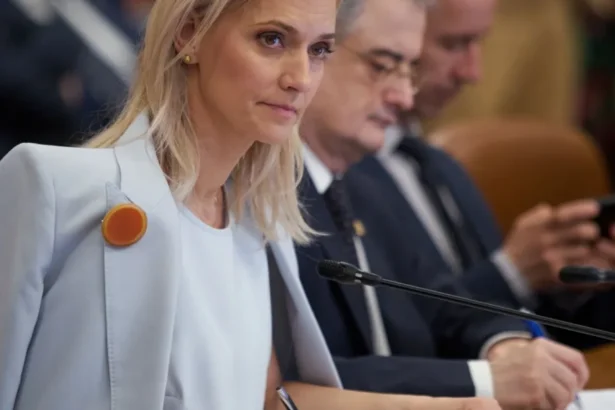 guvernul vestea vs guvernul niculescu alina gorghiu taxeaza schimbarea de directie a pnl mai ieri eram unii pe punctul de a fi dati afara cine a gresit 6acfac190ffe8