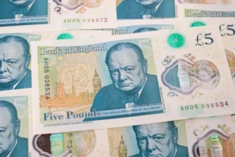 in marea britanie se schimba bancnotele iar winston churchill si alte mari personalitati vor fi inlocuiti cu arici bufnite sau bondarul de pamant 6ac7246823428