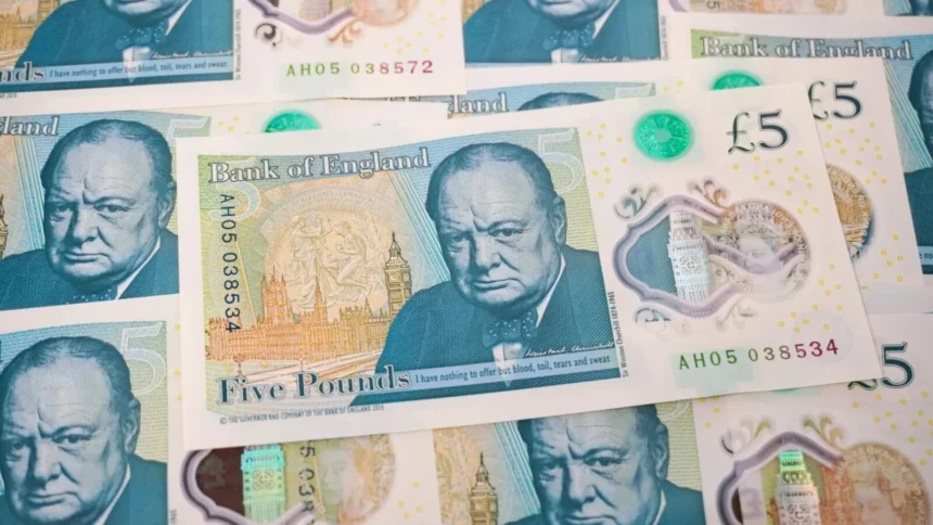 in marea britanie se schimba bancnotele iar winston churchill si alte mari personalitati vor fi inlocuiti cu arici bufnite sau bondarul de pamant 6ac7246823428